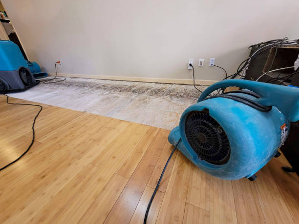 Professional Water Damage Repair technician working in Media, PA